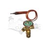 9804A VALV EXP RIMSA  3.2 TON R22 (VTX-N200