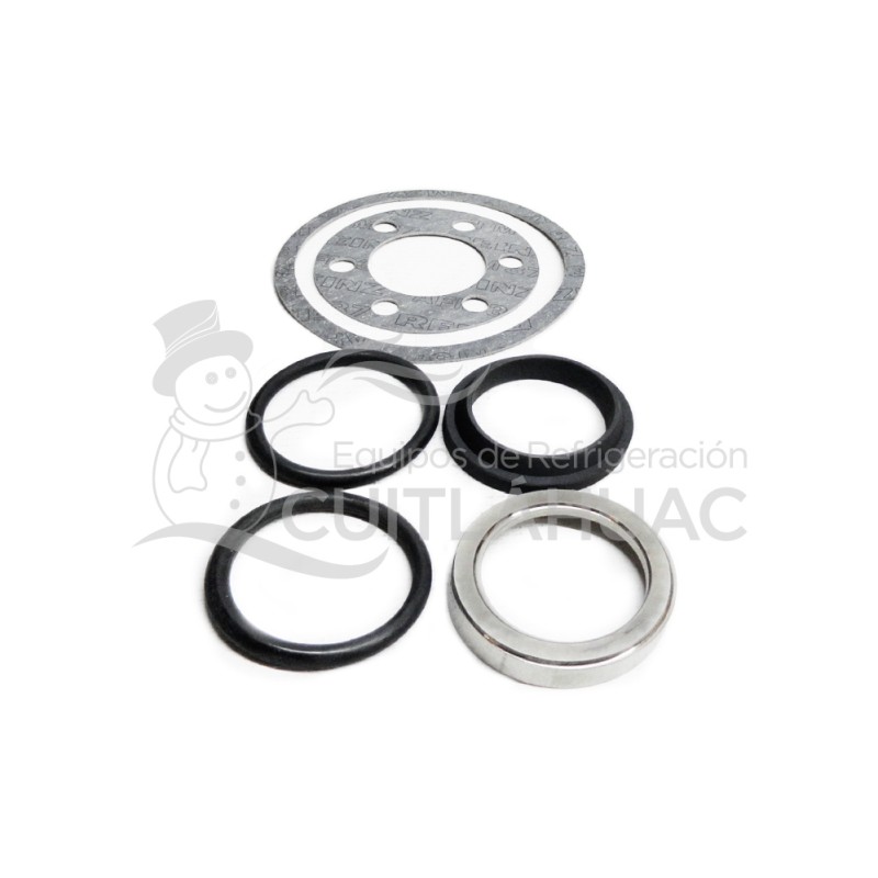 374008-06 ENSAMBLE SELLO MECANICO T-VII